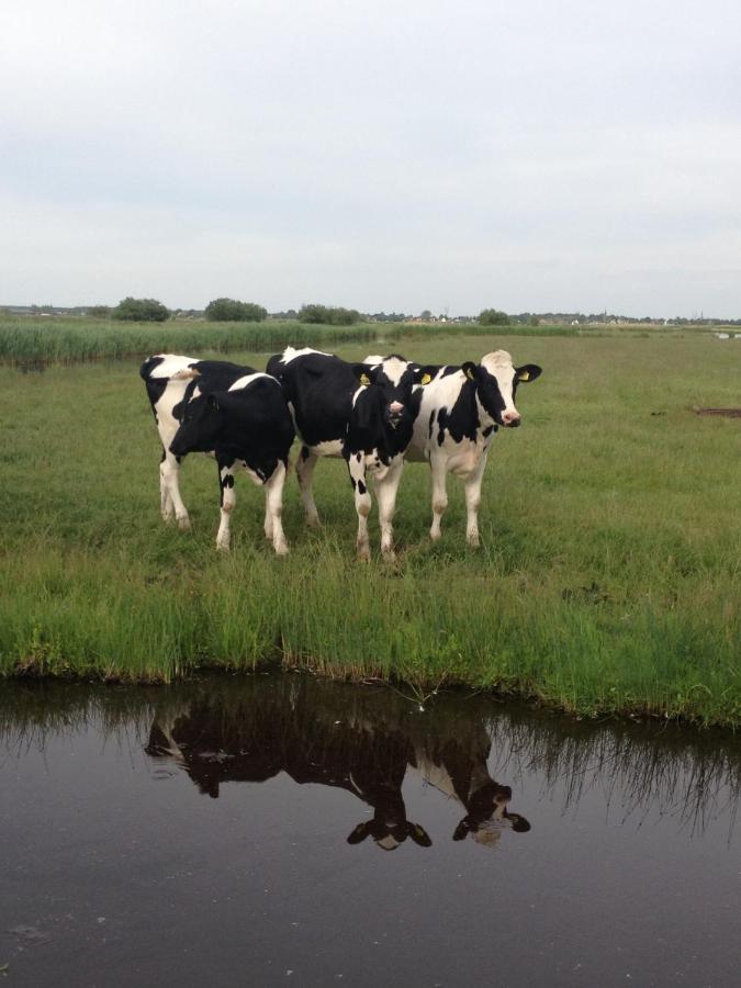 Villa Waterland Den Ilp Eksteriør billede